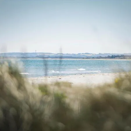 Tv1347-albaek-musvagevej-126 Ålbæk